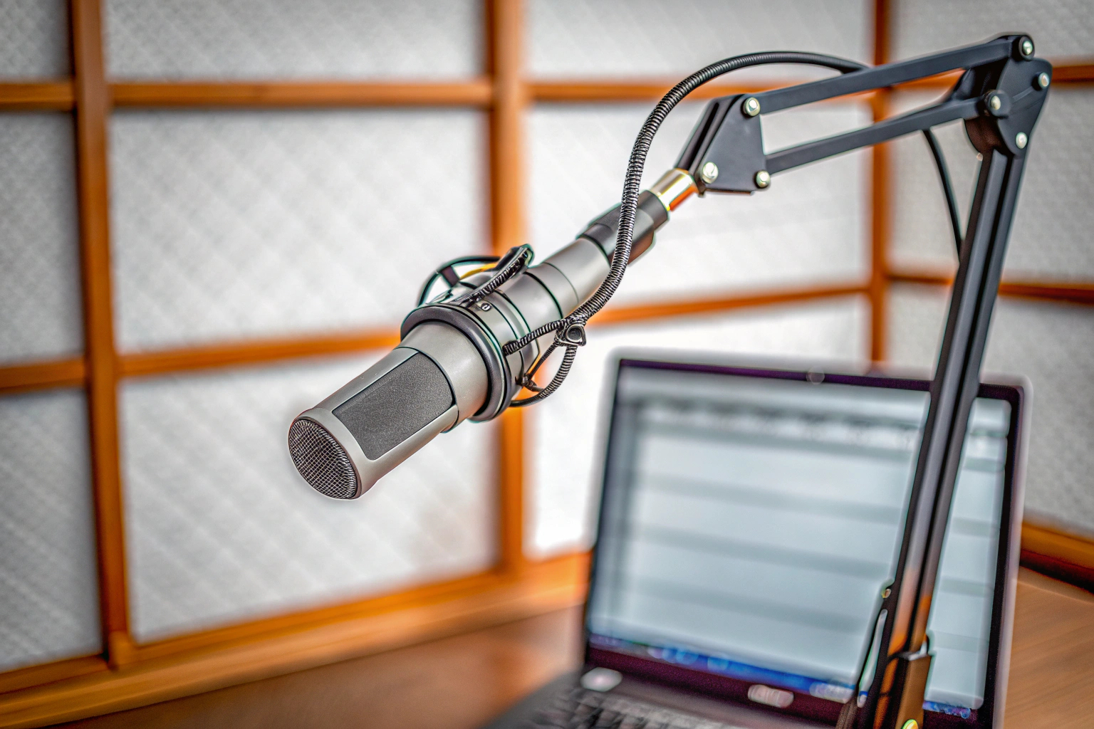 Mikrofon-Setup mit Popschutz
