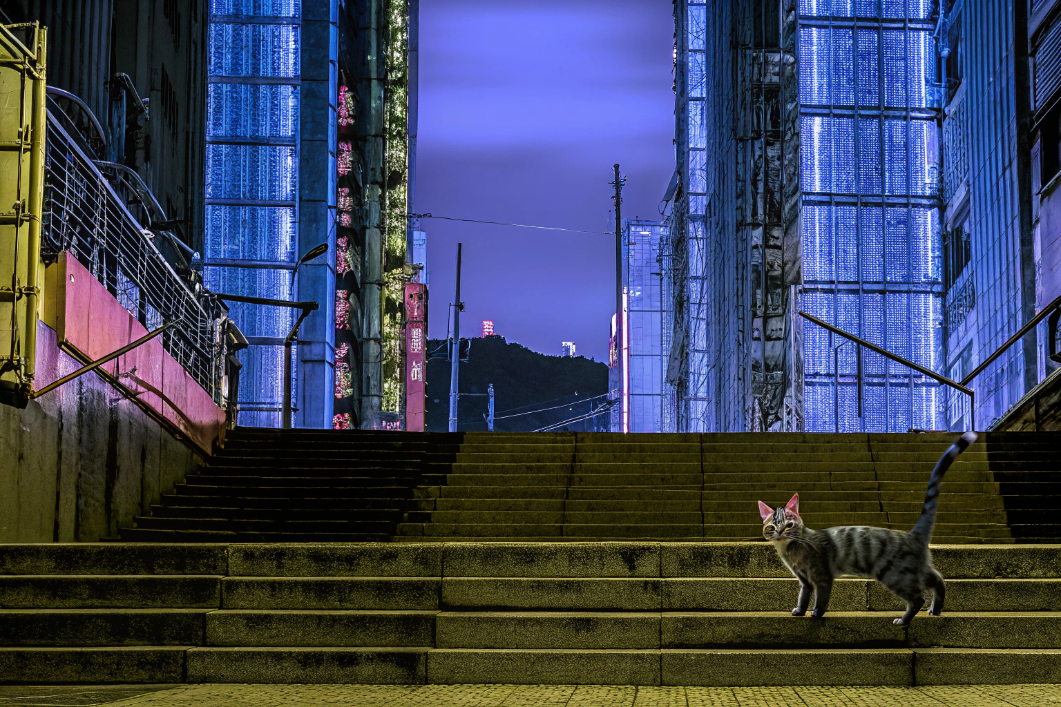 Eine Szene aus dem Spiel Stray, die die futuristische Cyberstadt zeigt. Stray PS5 Cyberstadt