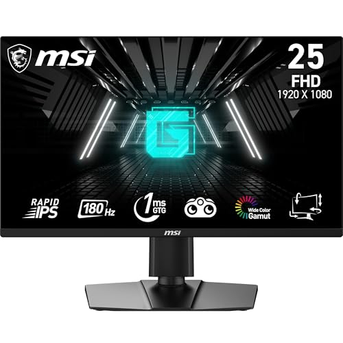 MSI G255PFDE E2 24,5 Zoll FHD Gaming Monitor