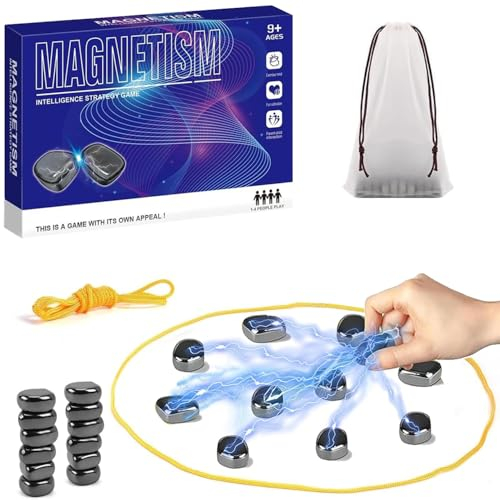 FLYGRRIV Magnetspiel, Tragbares Puzzle Checkers Spiel-Reisen Schach Magnetisch